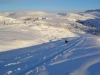 vetur-022-jpg
