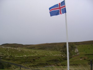Sauðféð að hausti